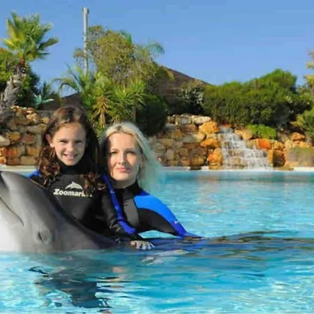 Apartament Stylish With View *